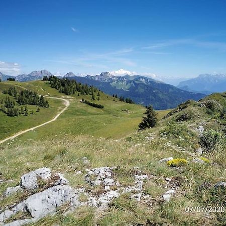 Appartement Montagne La Vallee Verte Coeur Station Hirmentaz Bellevaux Екстериор снимка