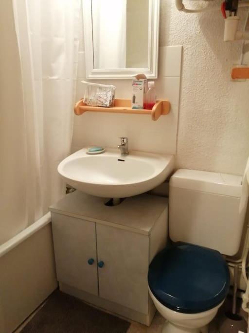 Appartement Montagne La Vallee Verte Coeur Station Hirmentaz Bellevaux Екстериор снимка