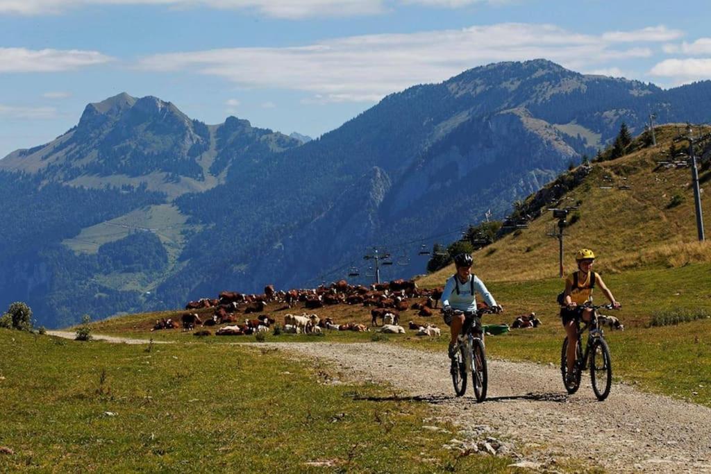 Appartement Montagne La Vallee Verte Coeur Station Hirmentaz Bellevaux Екстериор снимка